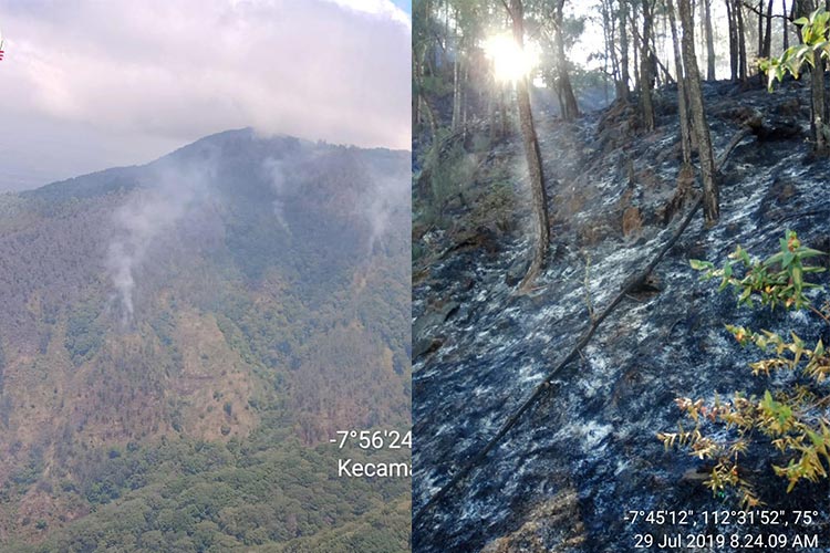 Kebakaran hutan Gunung Arjuna beberapa hari lalu (ist)