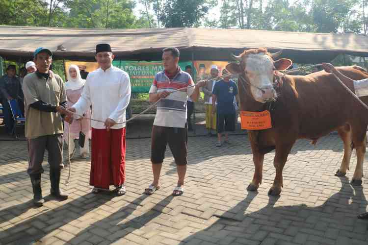 Kapolres Malang AKBP Yade Setiawan Ujung saat memberikan hewan Qurban secara simbolis. (Toski D)