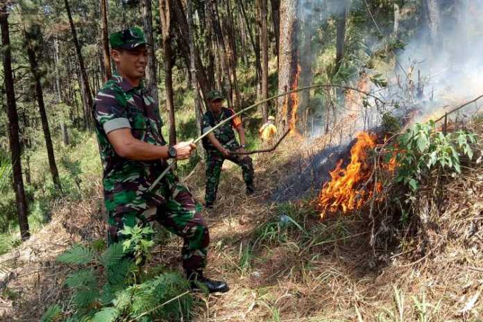 Petugas dari TNI saat melakukan upaya pemadaman di Petak 232b RPH Oro-oro Ombo Kota Batu (Istimewa)