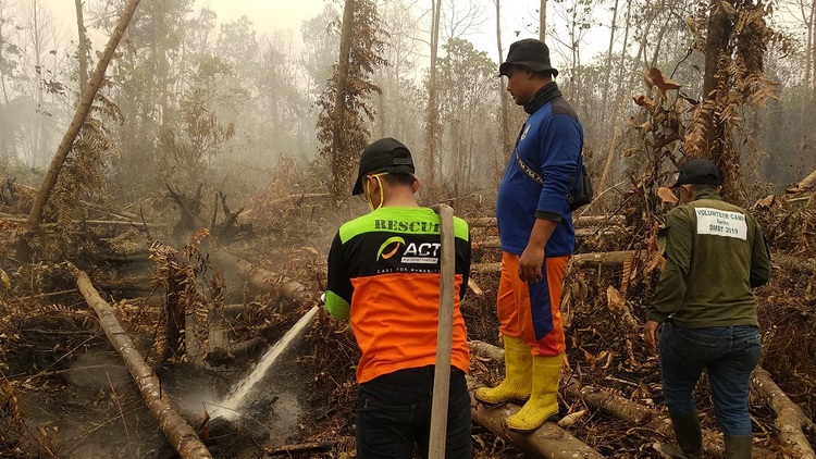 Proses pemadaman kebakaran hutan di Riau. (Istimewa)