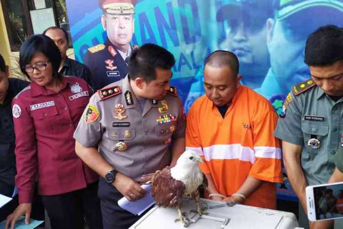 Ungkap kasus pencurian HP dan pemeliharaan satwa langka di Polres Malang Kota. (deny rahmawan)