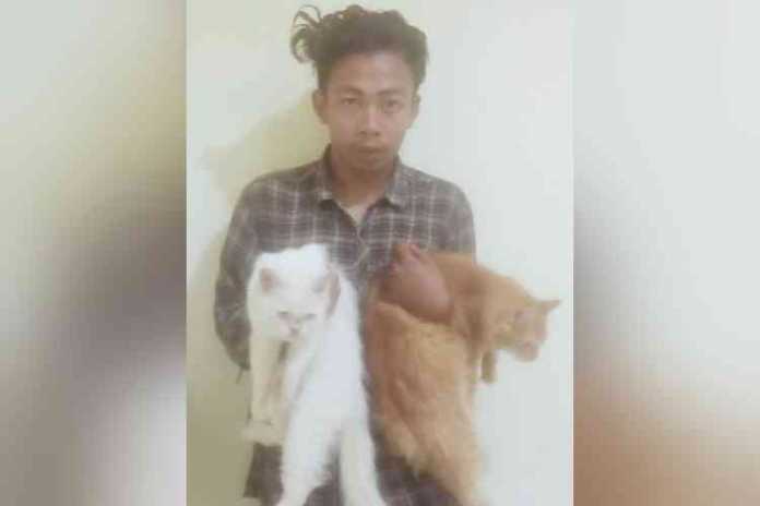 Pelaku Choirul Zamroni bersama barang bukti berupa Dua ekor Kucing saat diamankan di Polsek Singosari. (Istimewa)