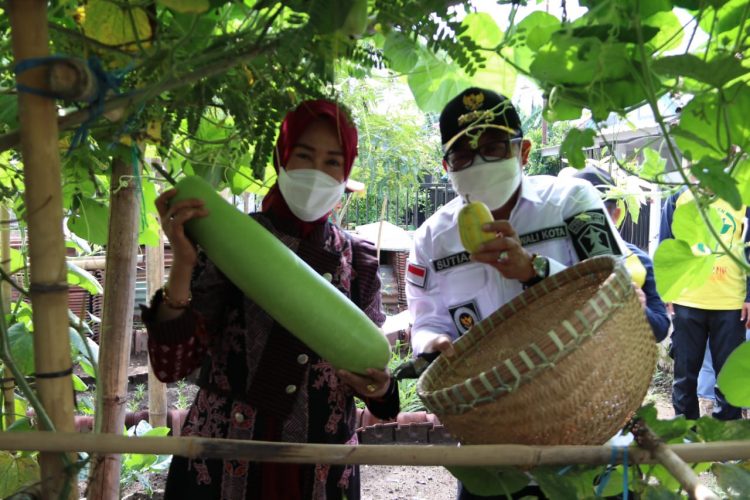Lomba Kampung Bersinar Kuatkan Ketahanan Pangan Kota Malang