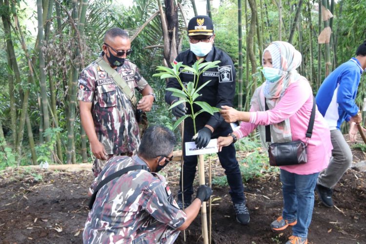 Gaungkan Gerakan Tanam Pohon, Wakil Wali Kota Malang Siapkan 10 Ribu Bibit