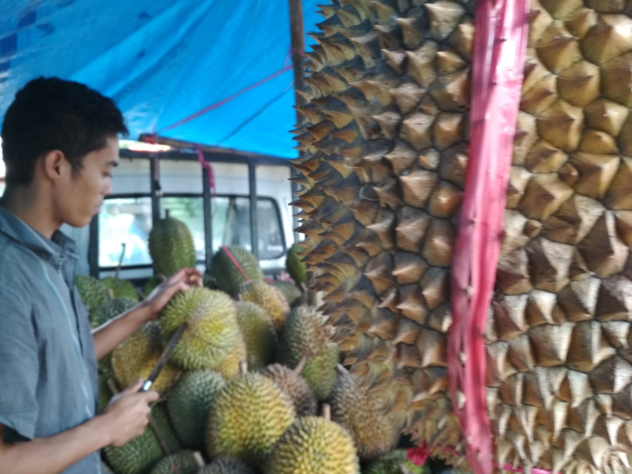 Penjualan Durian Menurun Drastis Akibat Pandemi