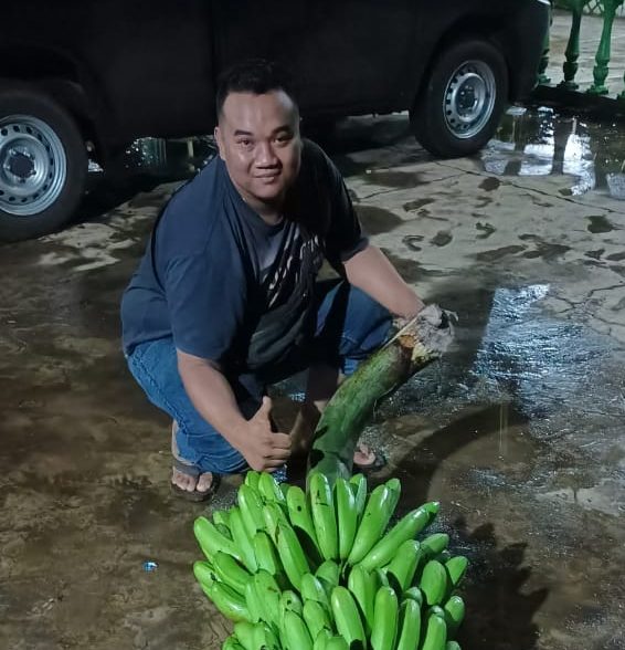 Gubernur Jatim Tertarik Budidaya Pisang Ijo Kabupaten Malang