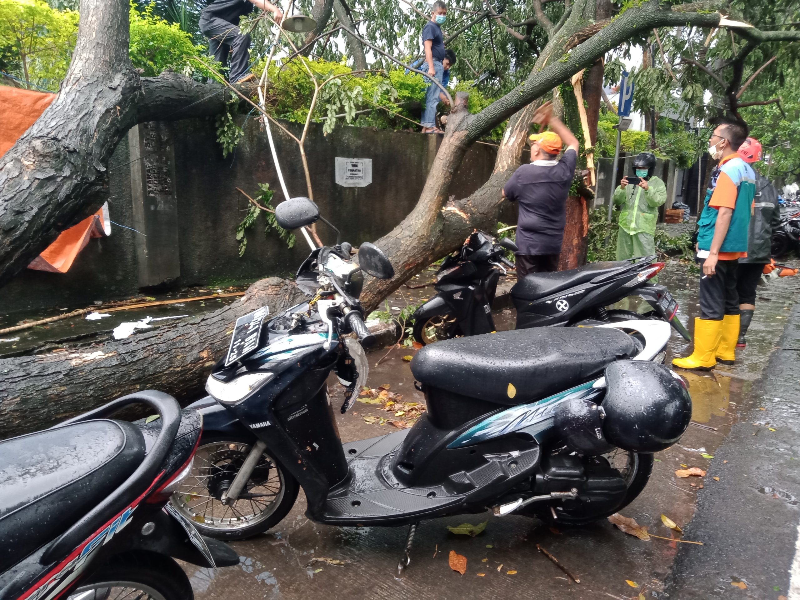 Hujan Deras Disertai Angin Kencang di Kota Malang, Banjir dan Pohon Tumbang di Mana-mana