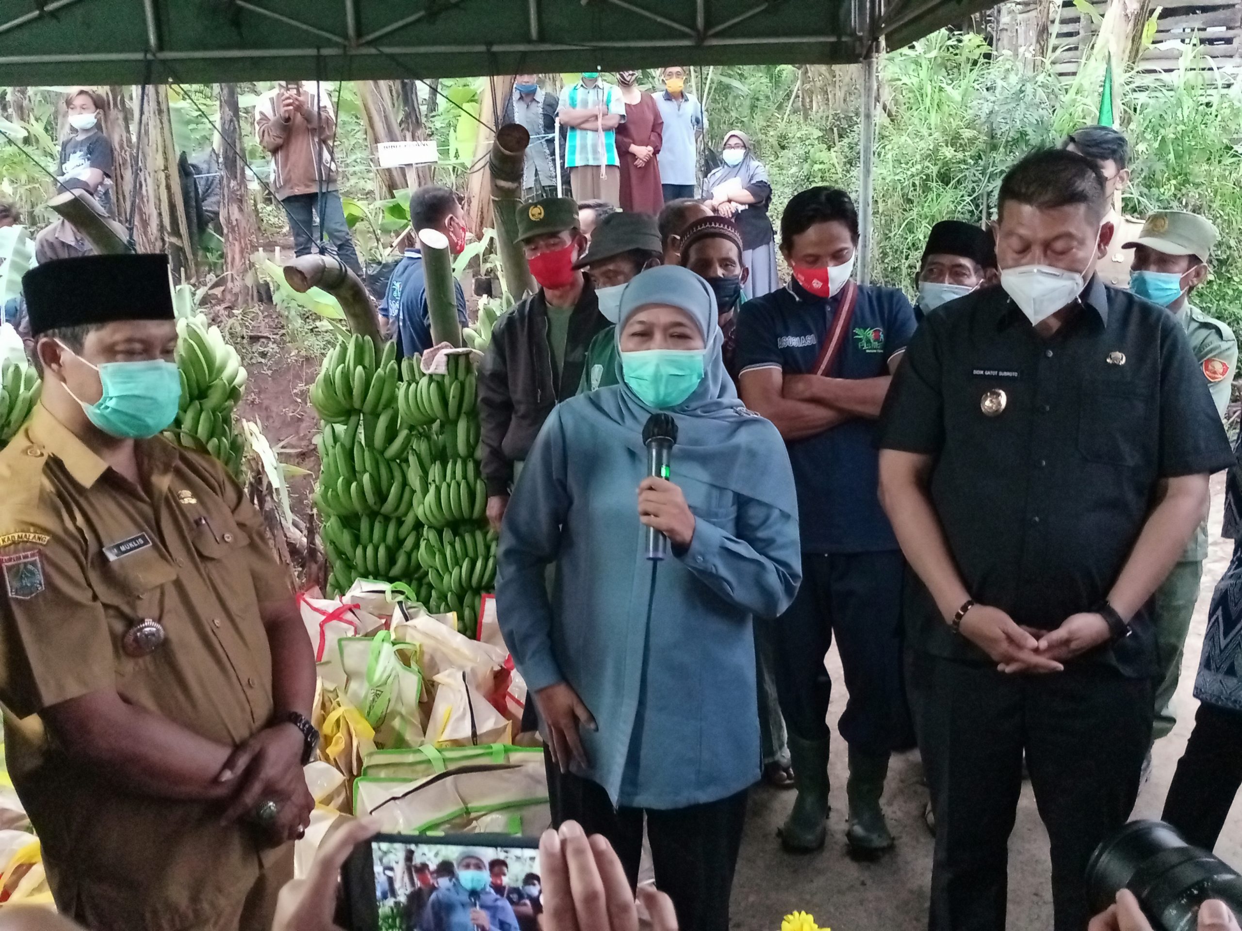 Pemkab Malang Beri Support Pengembangan Petani Pisang Mulyo