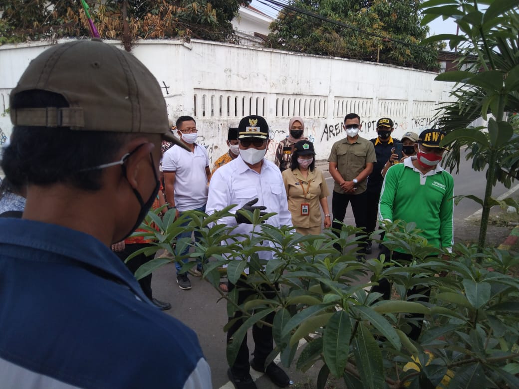 Wakil Wali Kota Malang Tinjau Pohon Pule yang ditanam di Luar Lingkungan RPH