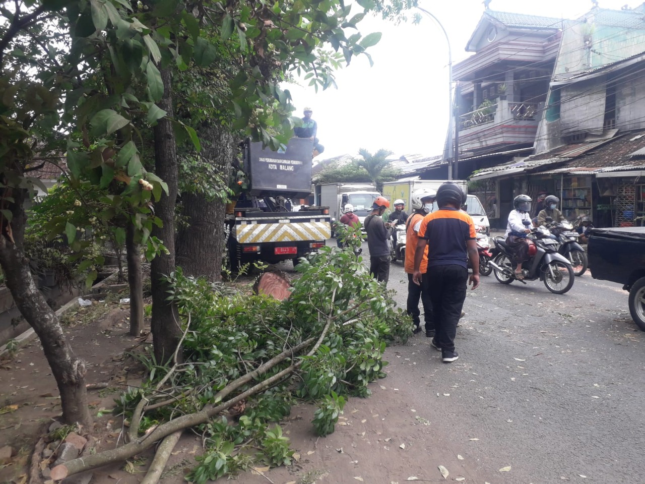 Mobil Ringsek Tertimpa Dahan Pohon di Jalan Ki Ageng Gribik