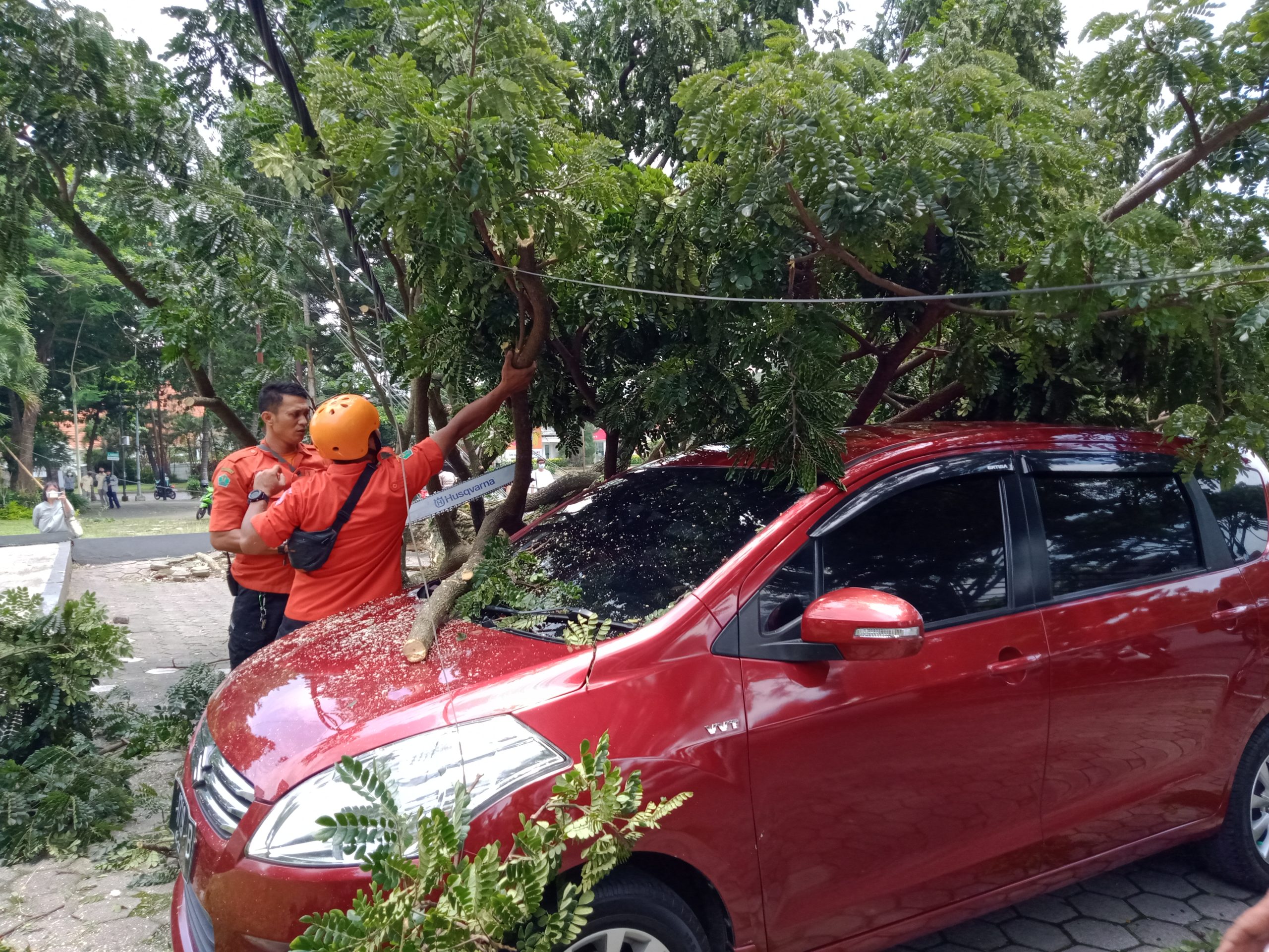 Pohon Tumbang Kembali Menimpa Satu Mobil di Kota Malang