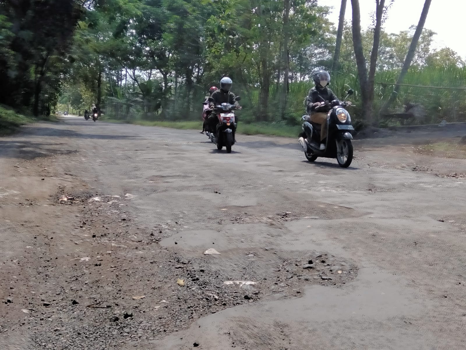 Jalan Berlubang Bertebaran di Kabupaten Malang, Ini Penyebabnya