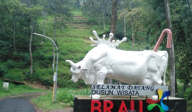 Wisata Edukasi Dusun Brau, Penghasil Susu Terbesar di Wilayah Terpencil Kota Batu