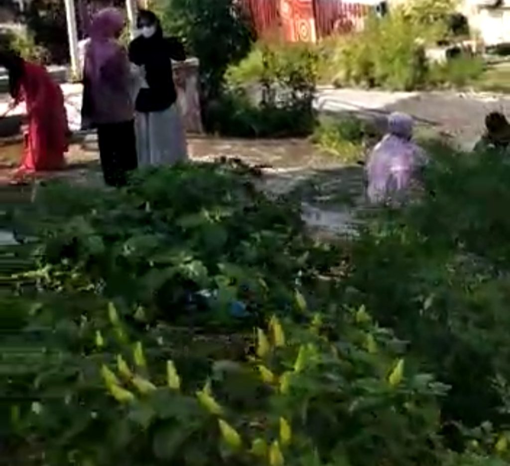 Urban farming