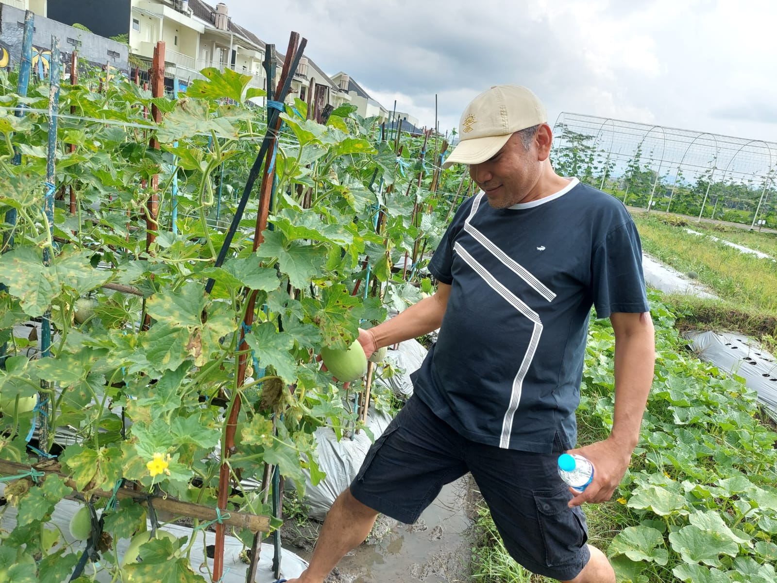 NK Cafe Inovasi Bibit Sayur dan Buah Bantu Kesejahteraan Petani