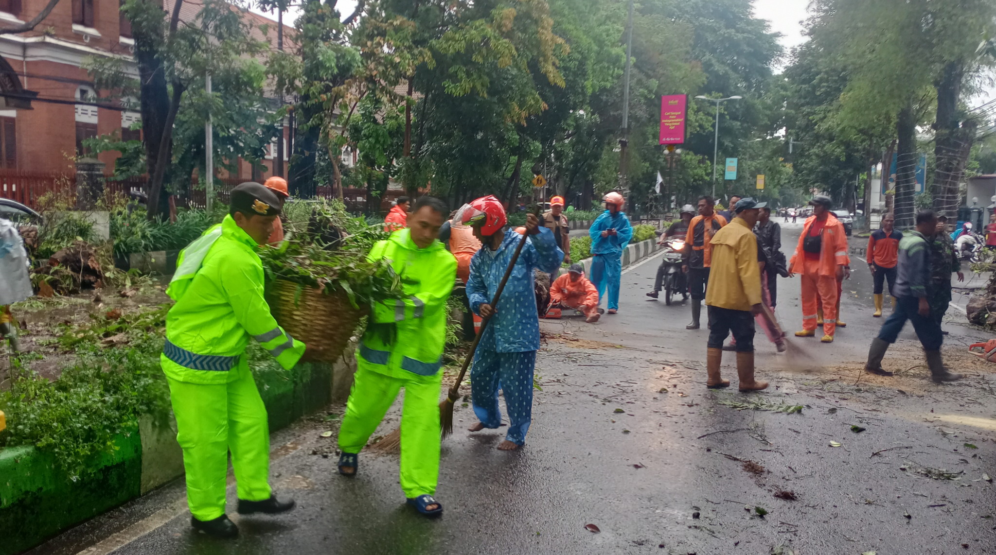 Pohon Tumbang di Jalan JA Suprapto Bikin Macet 1 KM