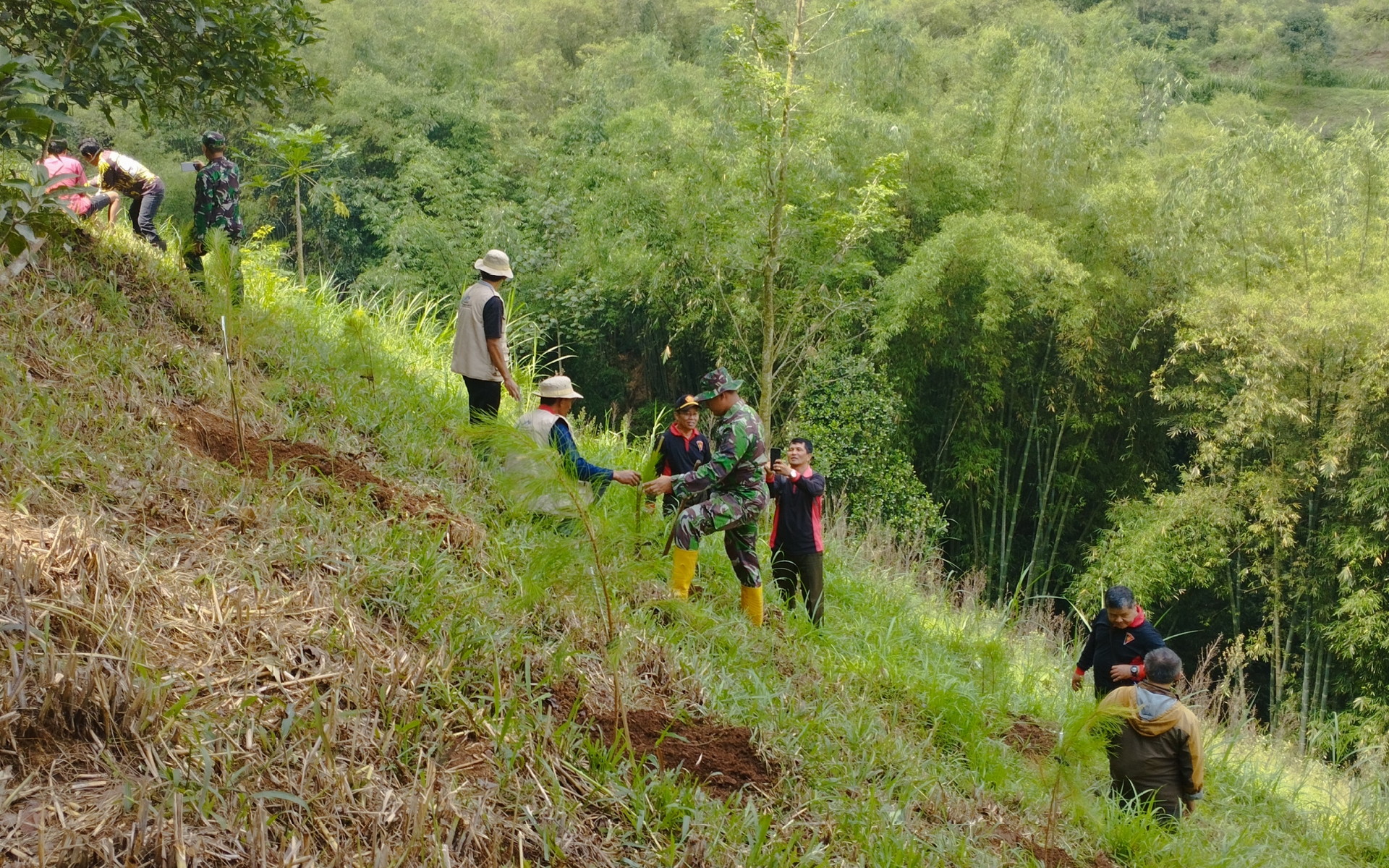 Perum Perhutani Jatim Tanam 2000 Bibit Pohon di Dusun Brau