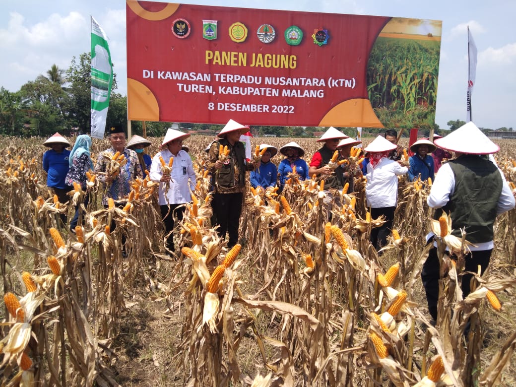 BNPT Panen Raya Jagung di Kabupaten Malang