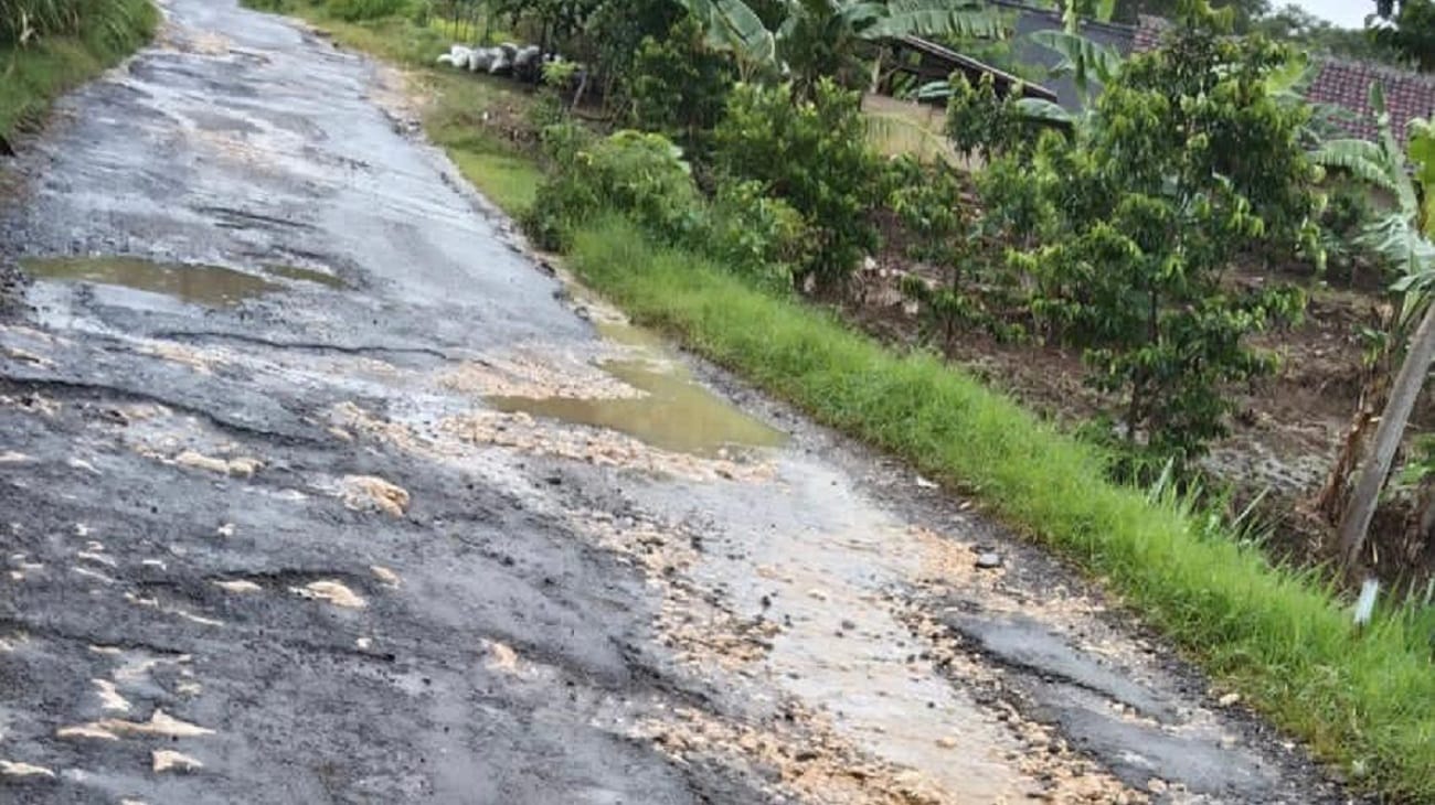 Jalan di Srigonco, Kecamatan Bantur Rusak Parah, Begini Tanggapan Pemkab Malang