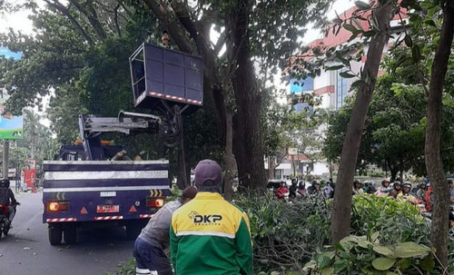 DLH Partisipasi Meriahkan HUT Kota Malang dan Antisipasi Pohon Tumbang di Libur Idulfitri