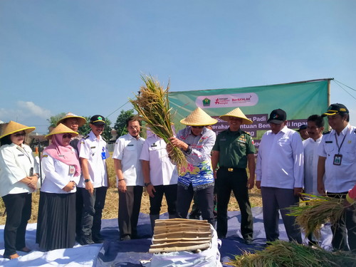 Pj Wali Kota Malang Kunjungi Poktan di Kelurahan Tasikmadu