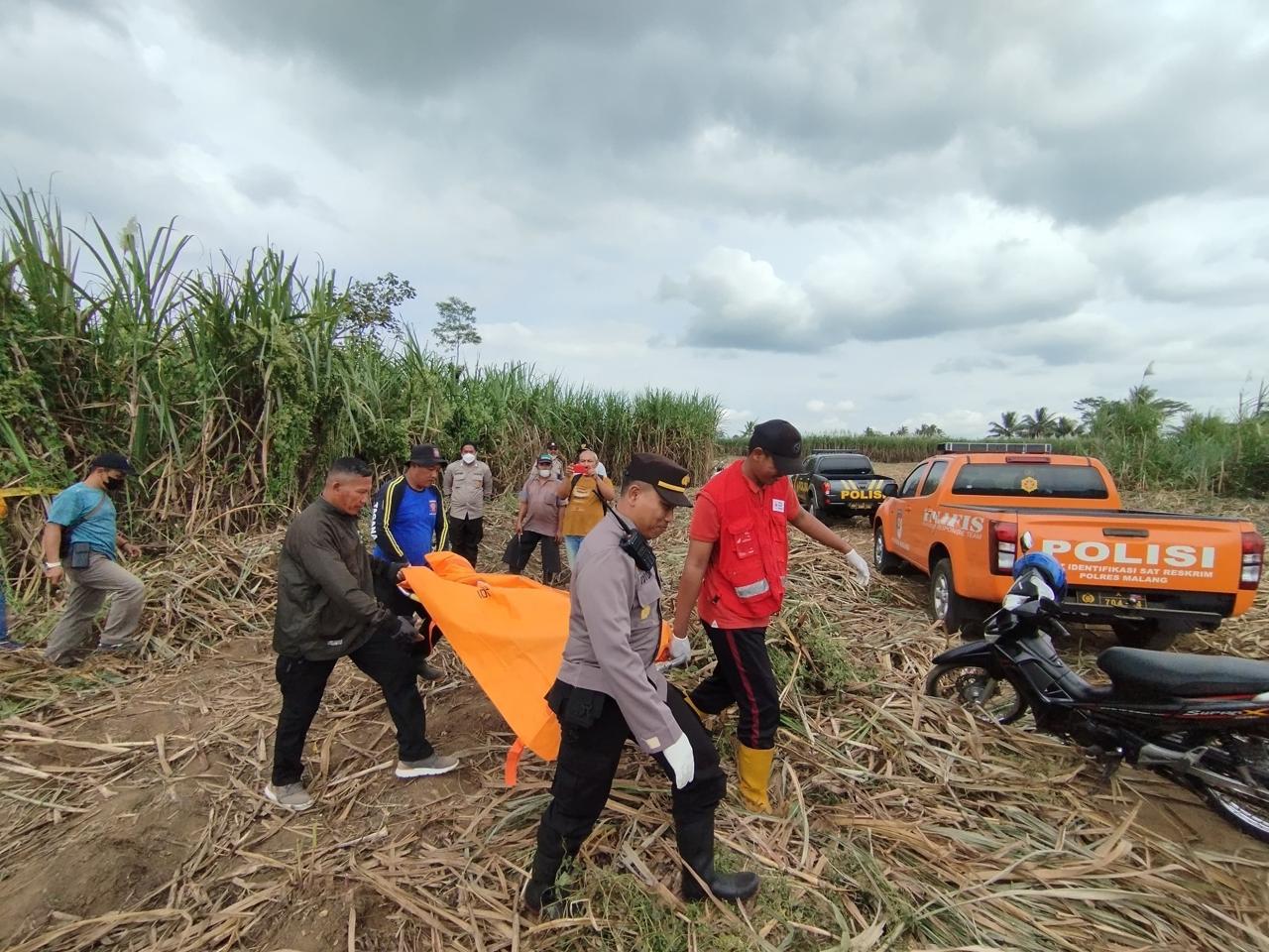 Mayat Pria Mengenaskan Ditemukan di Lahan Tebu Desa Pagelaran