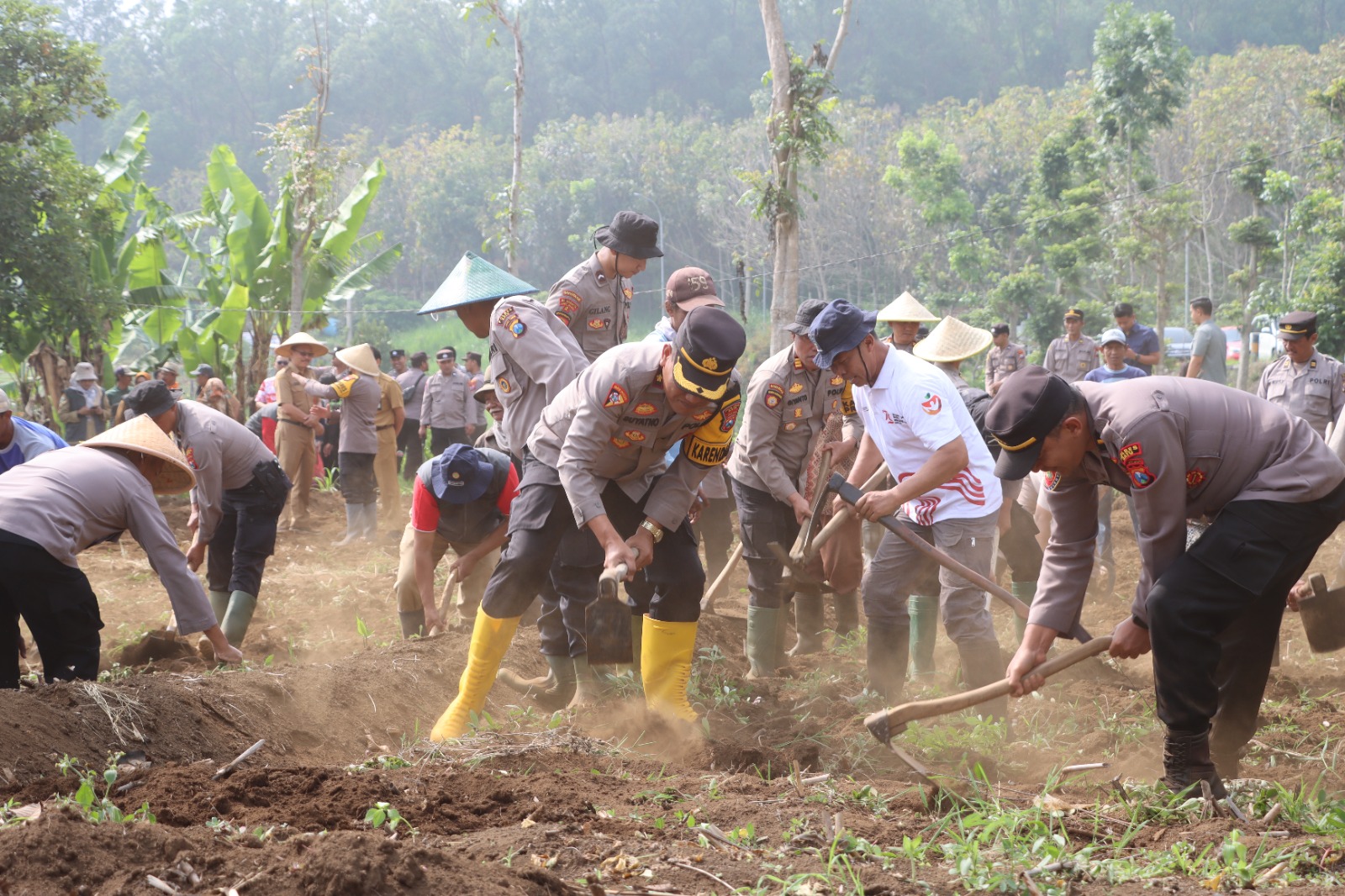 Wujudkan Ketahanan Pangan, Polres Batu dan DPKP Aktifkan Lahan Tidur Seluas 10 Hektare