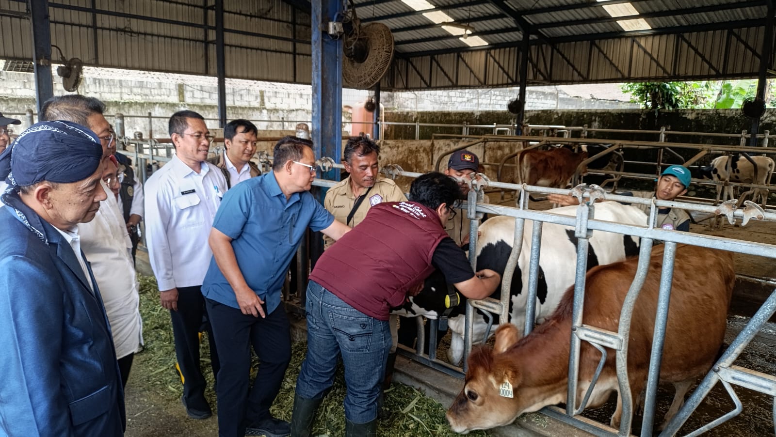 Tangkal Wabah PMK, Provinsi Jatim Butuh 7 Juta Vaksin