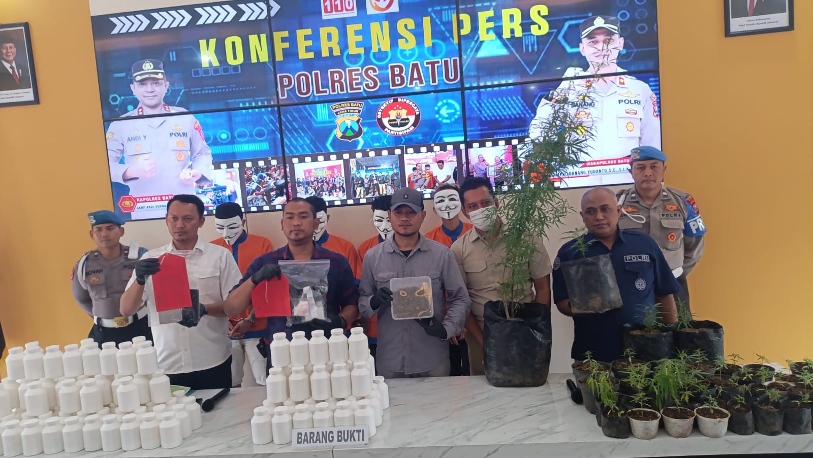 Tanam Ganja di Loteng Rumahnya, Warga Pendem Diringkus Satresnarkoba Polres Batu