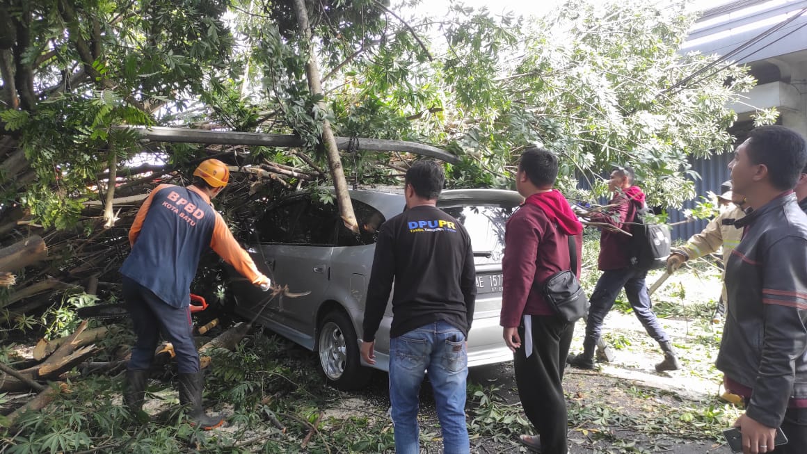 Sempadan Sungai Longor Akibatkan Pohon Tumbang dan Timpa Sebuah Mobil