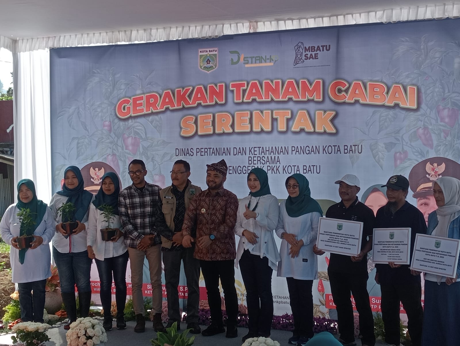 Tanam Cabai Strategi Antisipasi Laju Inflasi