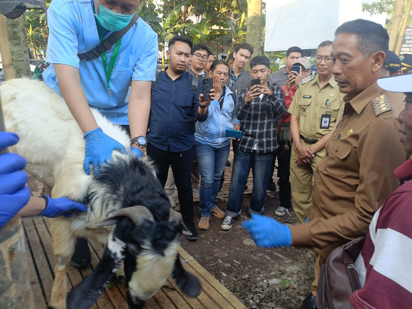 Wahyu Hidayat Pastikan Kesehatan Hewan Kurban Sebelum Iduladha