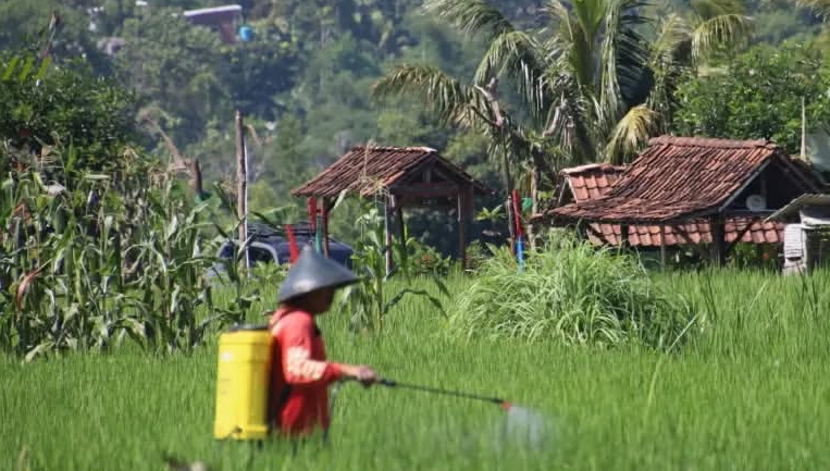 PMB Gugah Minat Generasi Muda pada Bidang Pertanian