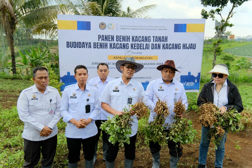 Panen Perdana Kacang Tanah di SAE L’SIMA Ngajum, Bukti Sinergi Pemasyarakatan Jatim