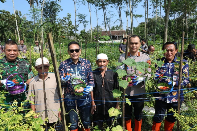 Panen Raya dan Bantuan Saprodi, Upaya Pemkot Malang Jaga Ketahanan Pangan