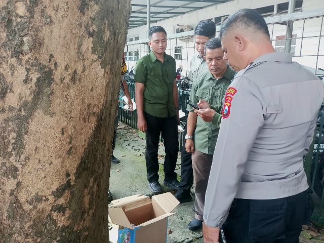Jasad Bayi Perempuan di Dalam Kardus Ditemukan di Bawah Pohon, Polisi Selidiki Rekaman CCTV